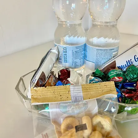 Aeroloft 28 ゲストハウス